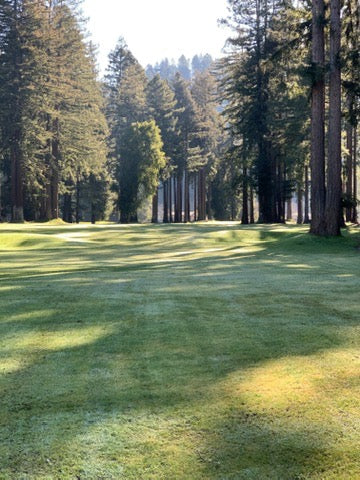 Courses We Love: Northwood Golf Club – Walker Trolleys